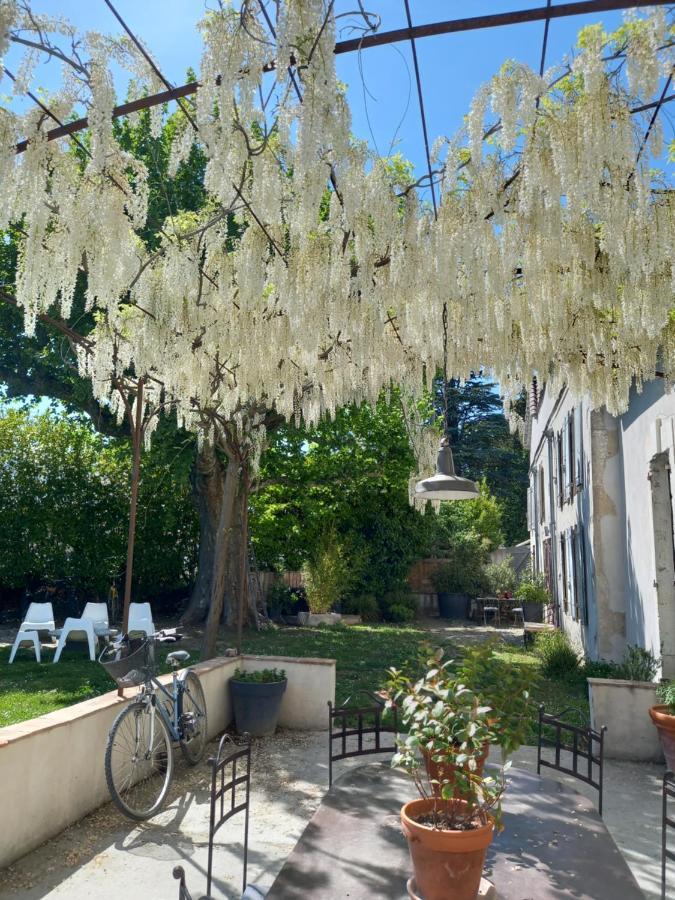 Mas Carita Bed & Breakfast Cabannes Exterior photo